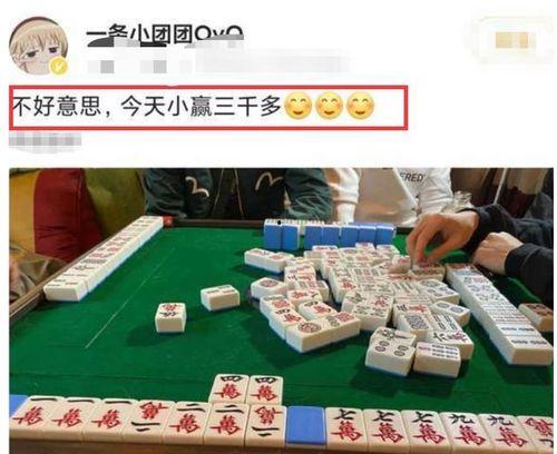 成都赌博爆料事件视频,视频揭露惊人内幕